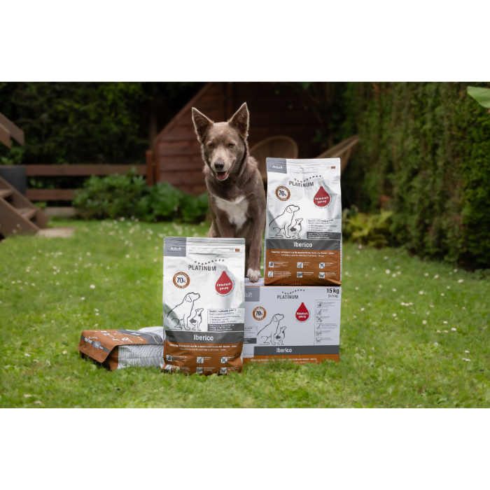 Perro adulto junto a sacos de pienso Platinum Adult Ibérico 70% carne fresca de cerdo ibérico. Formato de 1,5kg y 5kg.