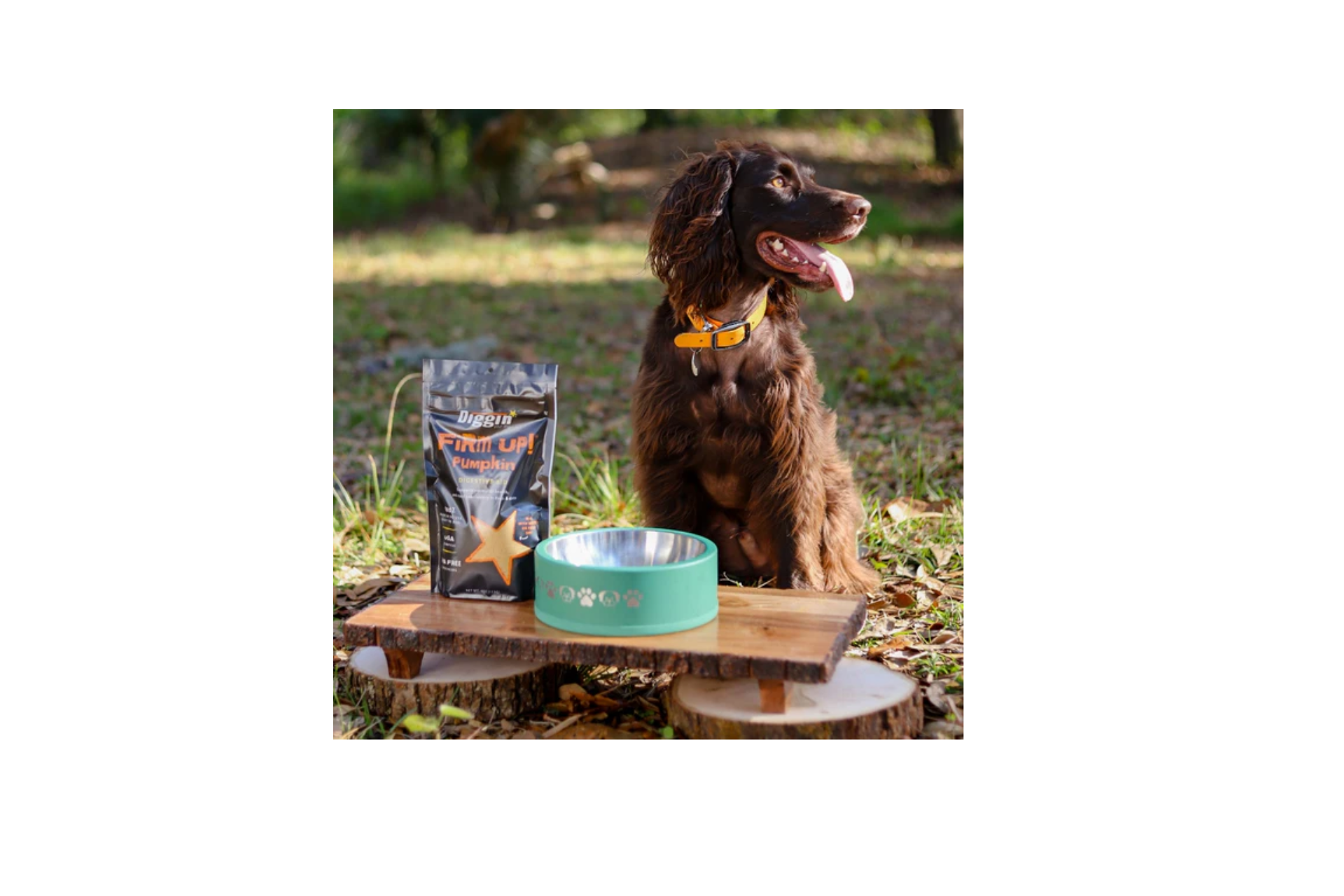 FiRM UP! Pumpkin - Imagen 2