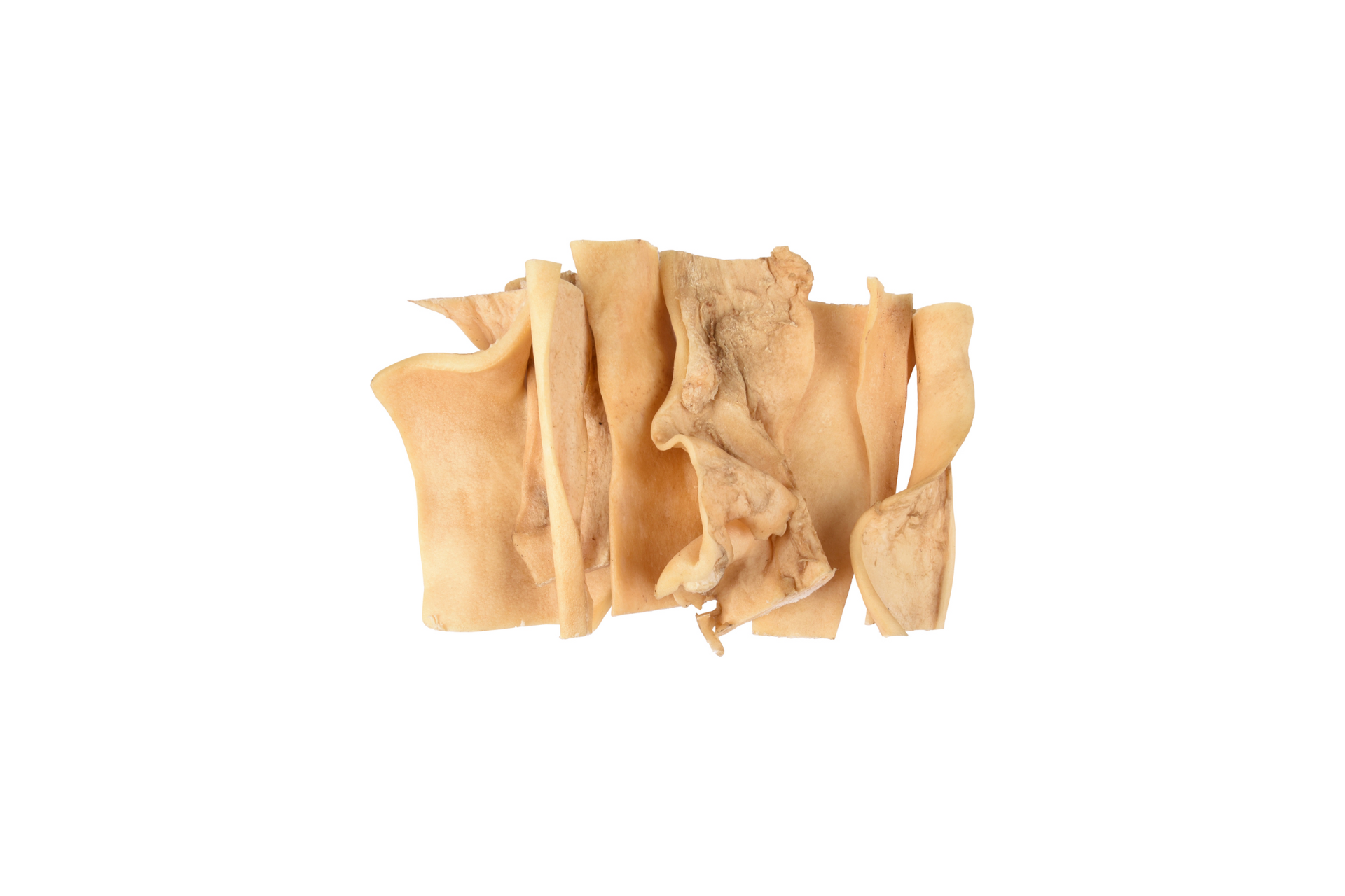 Piel de Cabeza de Búfalo 12cm