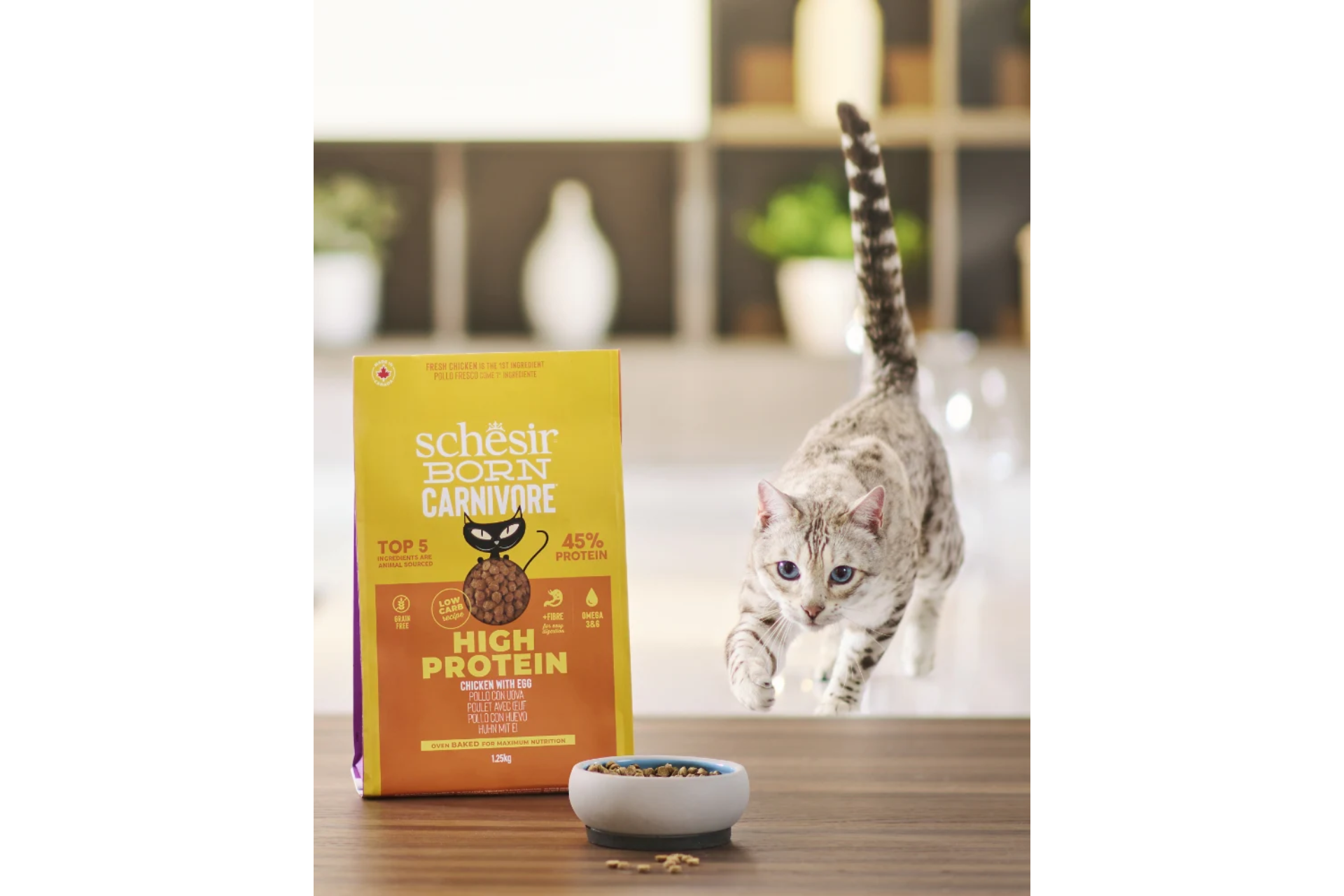 Schesir Pienso Born Carnivore Pollo con Huevo - Imagen 3