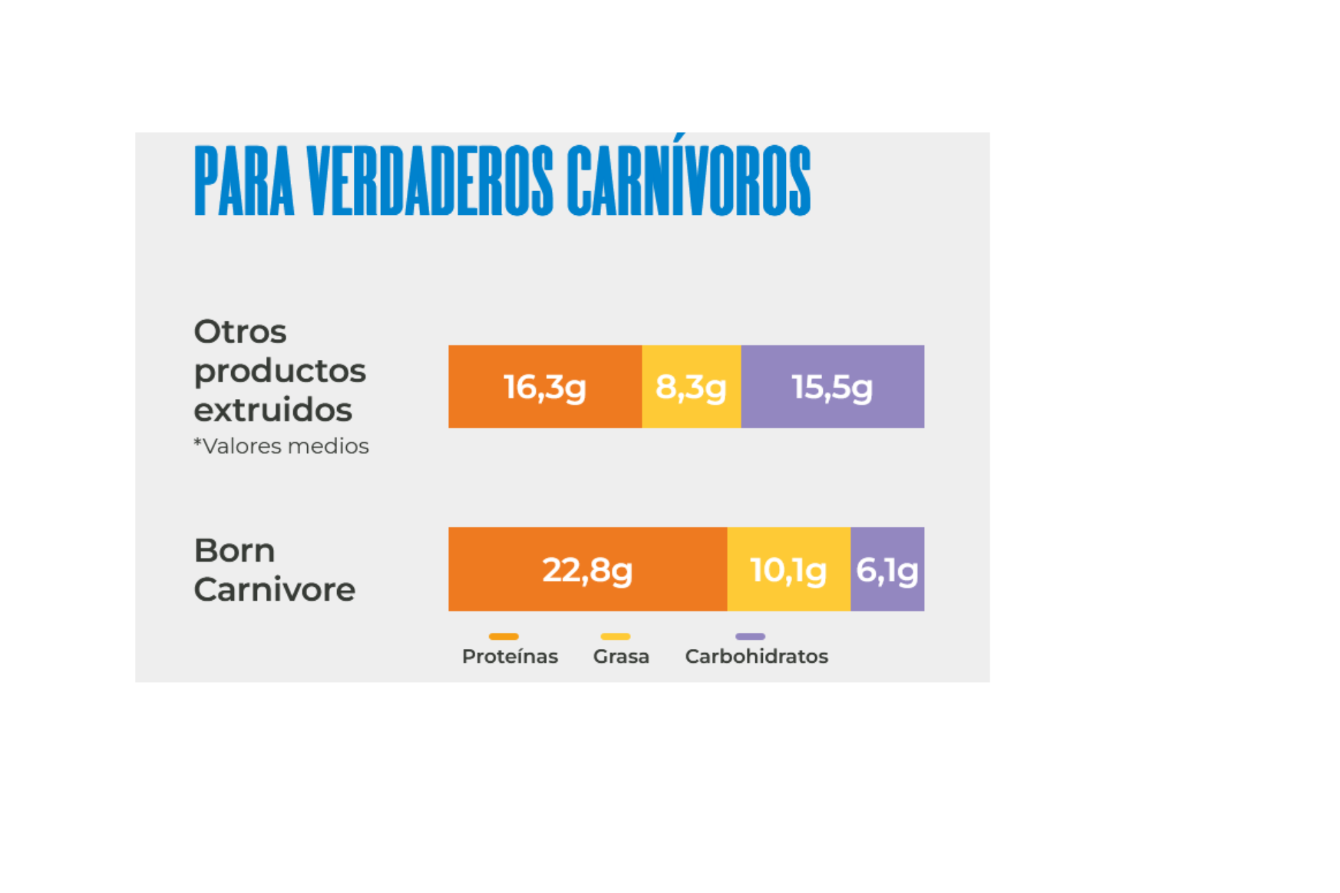 Schesir Pienso Born Carnivore Pollo con Huevo - Imagen 4