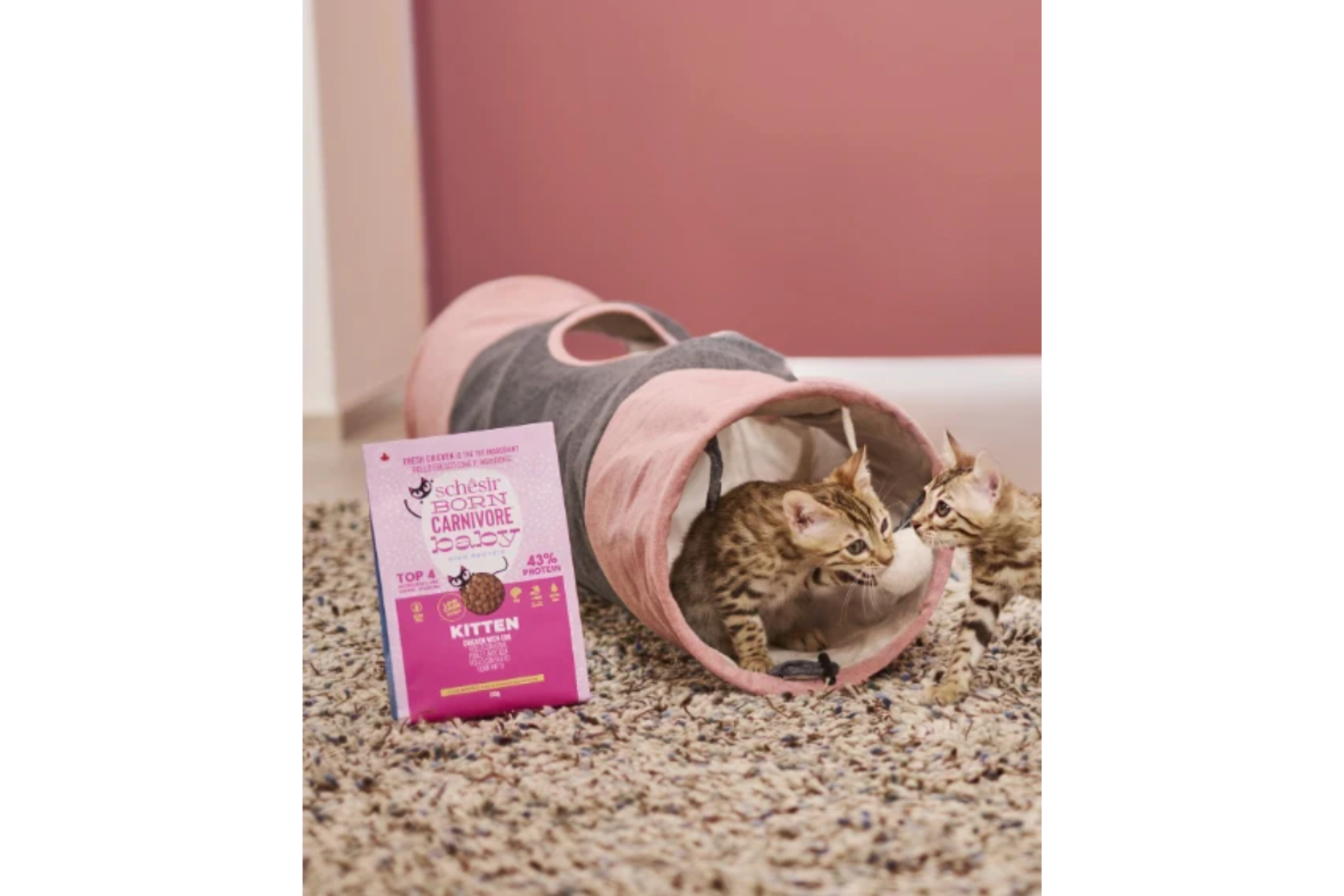 Schesir Pienso Born Carnivore Kitten Pollo con Huevo - Imagen 3