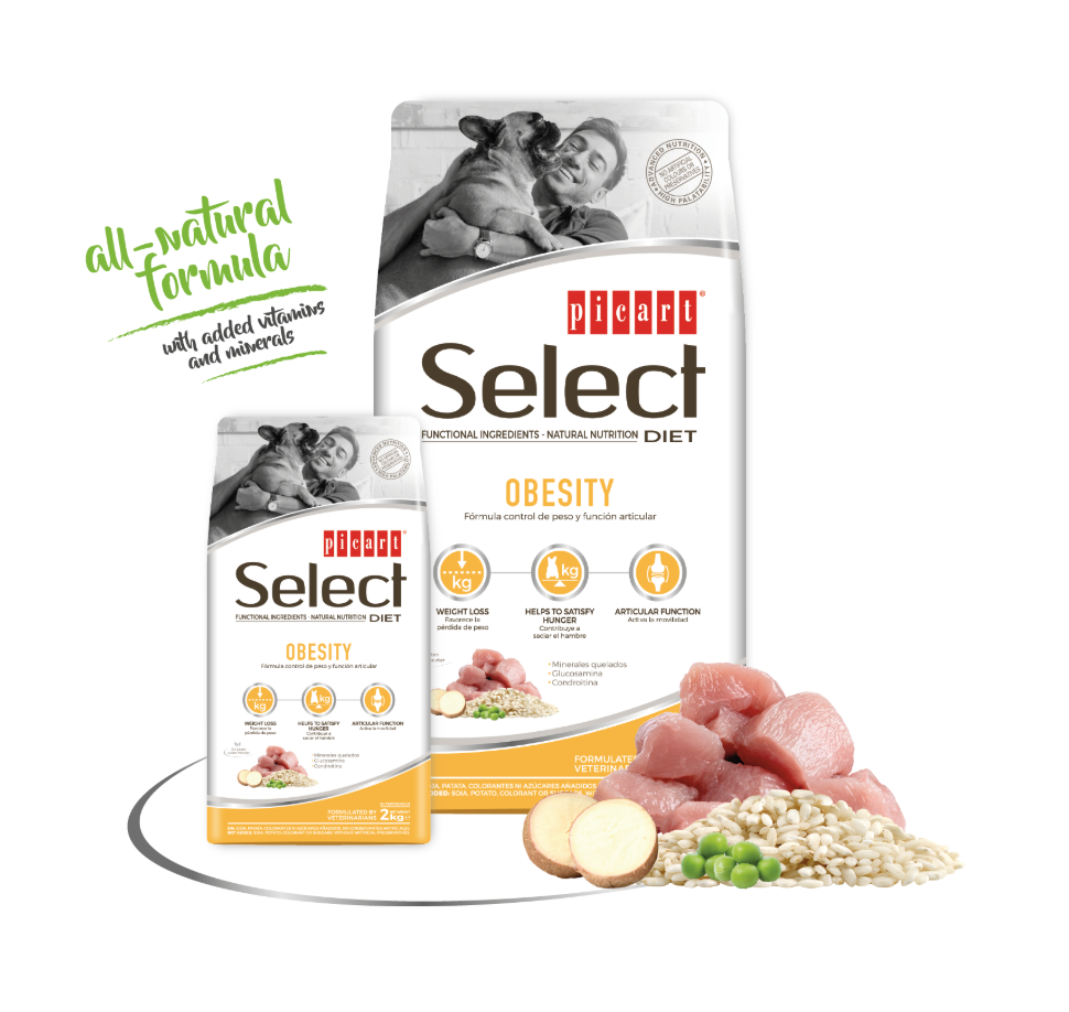 Picart Select Diet Obesity para perros