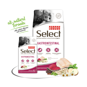Picart Select Diet Gastrointestinal para perros
