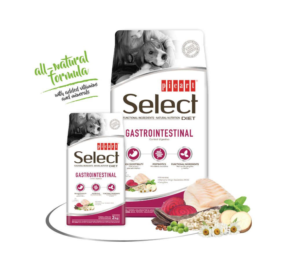 Picart Select Diet Gastrointestinal para perros