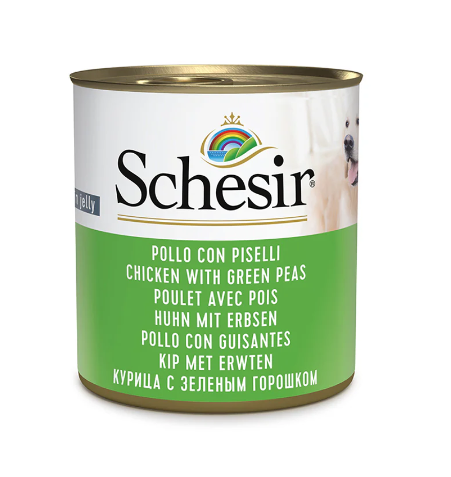 Schesir Dog Pollo con Guisantes en gelatina 285gr