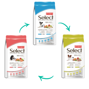 Picart Select Mini - UN SABOR DIFERENTE EN CADA ENVÍO