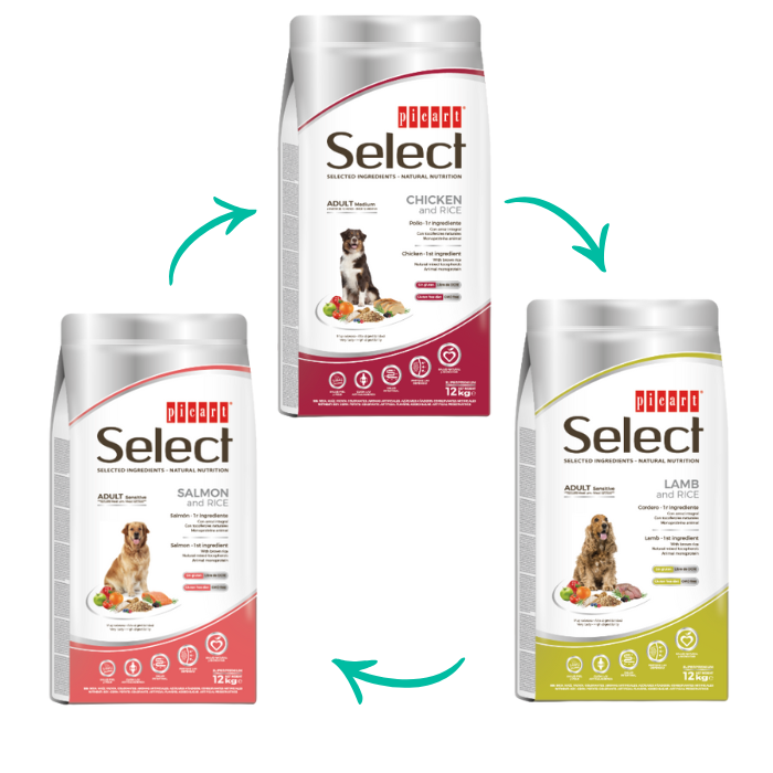 Picart Select Medium - UN SABOR DIFERENTE EN CADA ENVÍO